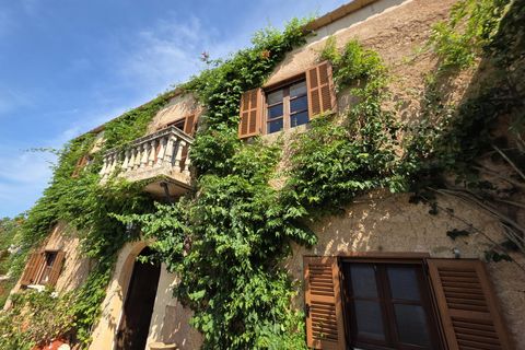 Villa i Calonge, Mallorca, Calonge - € 2.800.000 | Ref: 1641 - foto 48