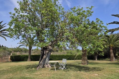 Villa i Calonge, Mallorca, Calonge - € 2.800.000 | Ref: 1641 - foto 43