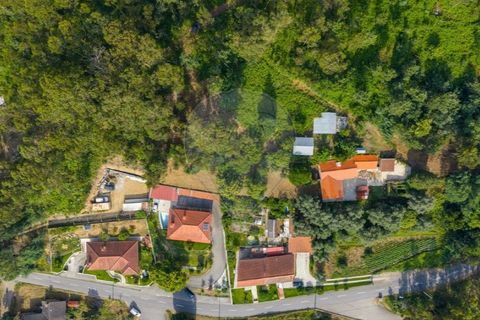 Helårsgrund i Ponte de Lima, Viana do Castelo, Ponte de Lima - € 46.500 | Ref: 123331135-88 - foto 3