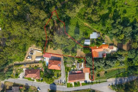 Helårsgrund i Ponte de Lima, Viana do Castelo, Ponte de Lima - € 46.500 | Ref: 123331135-88 - foto 4