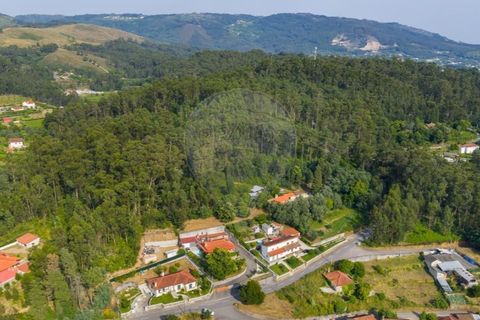 Helårsgrund i Ponte de Lima, Viana do Castelo, Ponte de Lima - € 46.500 | Ref: 123331135-88 - foto 5