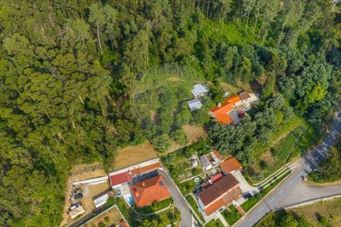 Helårsgrund i Ponte de Lima, Viana do Castelo, Ponte de Lima - € 46.500 | Ref: 123331135-88 - foto 7