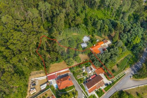 Helårsgrund i Ponte de Lima, Viana do Castelo, Ponte de Lima - € 46.500 | Ref: 123331135-88 - foto 8