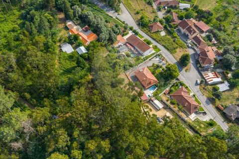 Helårsgrund i Ponte de Lima, Viana do Castelo, Ponte de Lima - € 46.500 | Ref: 123331135-88 - foto 15