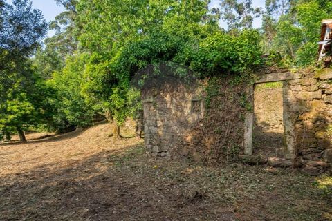 Helårsgrund i Ponte de Lima, Viana do Castelo, Ponte de Lima - € 46.500 | Ref: 123331135-88 - foto 17