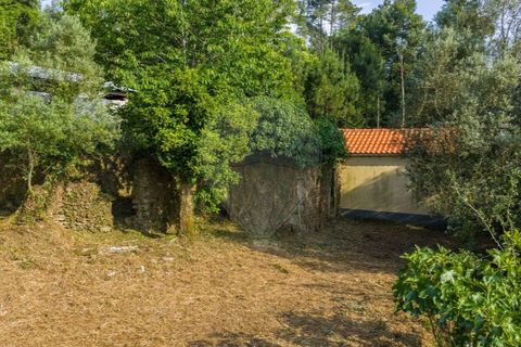 Helårsgrund i Ponte de Lima, Viana do Castelo, Ponte de Lima - € 46.500 | Ref: 123331135-88 - foto 18