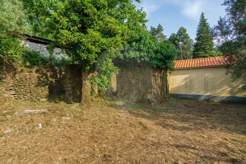 Helårsgrund i Ponte de Lima, Viana do Castelo, Ponte de Lima - € 46.500 | Ref: 123331135-88 - foto 19