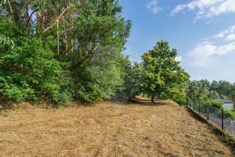 Helårsgrund i Ponte de Lima, Viana do Castelo, Ponte de Lima - € 46.500 | Ref: 123331135-88 - foto 21