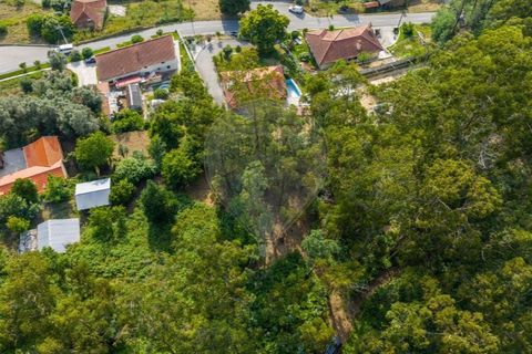 Helårsgrund i Ponte de Lima, Viana do Castelo, Ponte de Lima - € 46.500 | Ref: 123331135-88 - foto 27