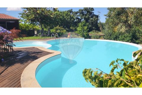 Villa i Ponte de Lima, Viana do Castelo, Ponte de Lima - € 849.000 | Ref: 123731008-434 - foto 4