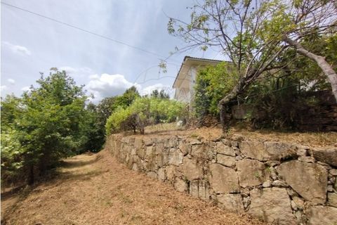 Villa i Abadim, Braga, Abadim - € 199.000 | Ref: 126311008-64 - foto 18