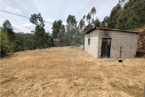 Villa i Abadim, Braga, Abadim - € 199.000 | Ref: 126311008-64 - foto 19