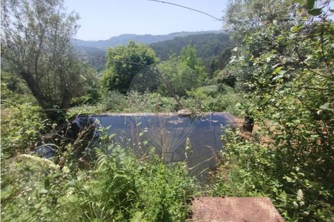 Villa i Abadim, Braga, Abadim - € 199.000 | Ref: 126311008-64 - foto 21