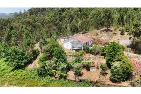 Villa i Abadim, Braga, Abadim - € 199.000 | Ref: 126311008-64 - foto 23