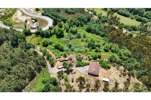 Villa i Abadim, Braga, Abadim - € 199.000 | Ref: 126311008-64 - foto 26
