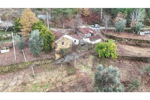 Villa i Abadim, Braga, Abadim - € 199.000 | Ref: 126311008-64 - foto 28