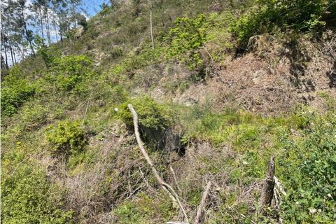 Villa i Arcos de Valdevez, Viana do Castelo, Arcos de Valdevez - € 148.000 | Ref: 123331167-516 - foto 12