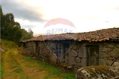 Villa i Ponte, Braga, Ponte - € 79.000 | Ref: 123731039-17 - foto 4