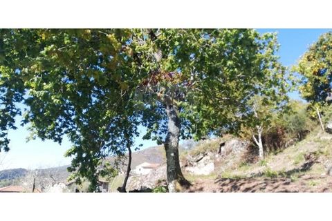Villa i Ponte, Braga, Ponte - € 79.000 | Ref: 123731039-17 - foto 6