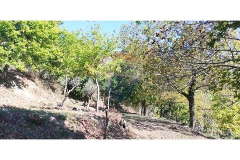 Villa i Ponte, Braga, Ponte - € 79.000 | Ref: 123731039-17 - foto 7