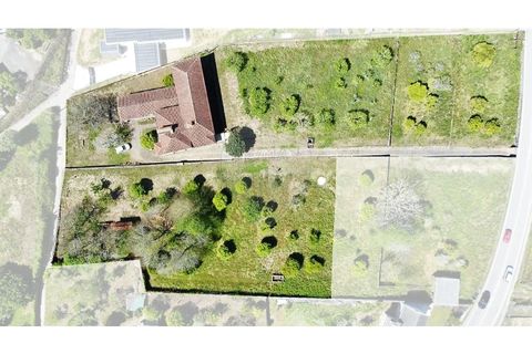 Farm i Ponte de Lima, Viana do Castelo, Ponte de Lima - € 1.890.000 | Ref: 126201003-208 - foto 2