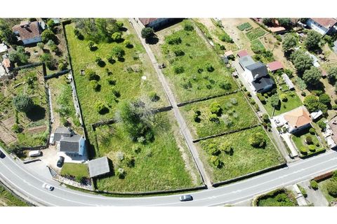 Farm i Ponte de Lima, Viana do Castelo, Ponte de Lima - € 1.890.000 | Ref: 126201003-208 - foto 4