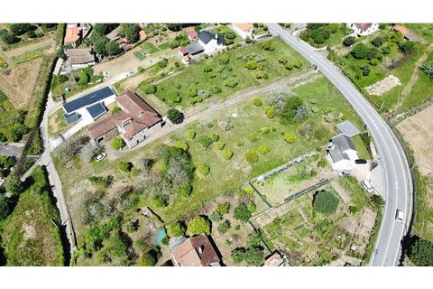 Farm i Ponte de Lima, Viana do Castelo, Ponte de Lima - € 1.890.000 | Ref: 126201003-208 - foto 5