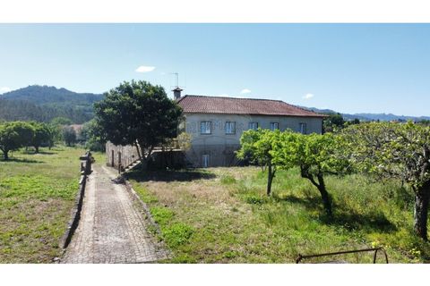 Farm i Ponte de Lima, Viana do Castelo, Ponte de Lima - € 1.890.000 | Ref: 126201003-208 - foto 40