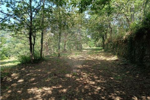 Helårsgrund i Guimaraes, Braga, Guimaraes - € 138.000 | Ref: 123331184-1 - foto 10