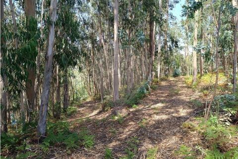 Helårsgrund i Guimaraes, Braga, Guimaraes - € 138.000 | Ref: 123331184-1 - foto 4