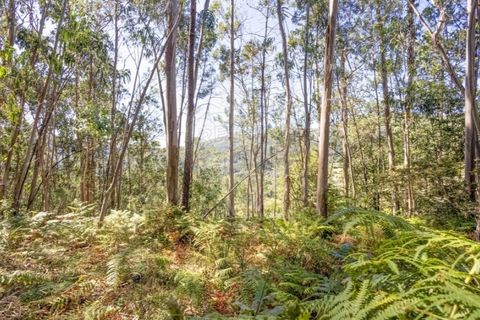 Helårsgrund i Guimaraes, Braga, Guimaraes - € 138.000 | Ref: 123331184-1 - foto 5