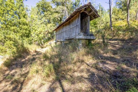 Helårsgrund i Guimaraes, Braga, Guimaraes - € 138.000 | Ref: 123331184-1 - foto 12