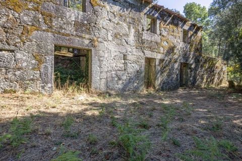 Helårsgrund i Guimaraes, Braga, Guimaraes - € 138.000 | Ref: 123331184-1 - foto 13