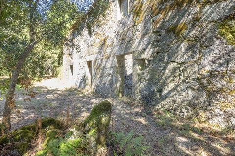 Helårsgrund i Guimaraes, Braga, Guimaraes - € 138.000 | Ref: 123331184-1 - foto 14
