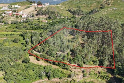 Helårsgrund i Guimaraes, Braga, Guimaraes - € 138.000 | Ref: 123331184-1 - foto 18