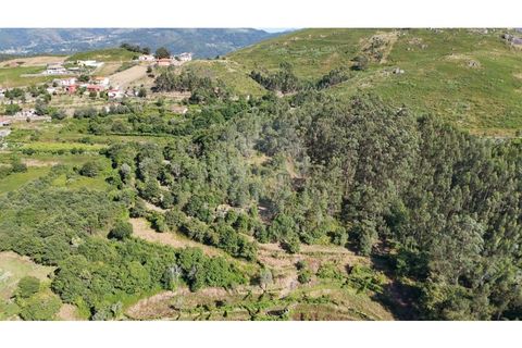 Helårsgrund i Guimaraes, Braga, Guimaraes - € 138.000 | Ref: 123331184-1 - foto 20