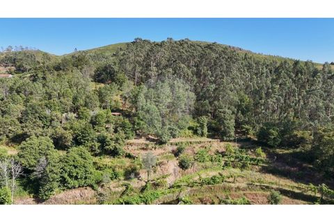 Helårsgrund i Guimaraes, Braga, Guimaraes - € 138.000 | Ref: 123331184-1 - foto 21