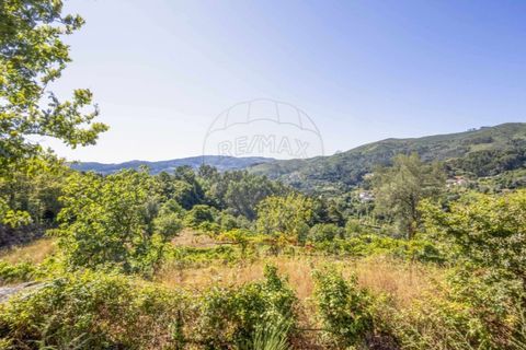 Helårsgrund i Guimaraes, Braga, Guimaraes - € 138.000 | Ref: 123331184-1 - foto 22