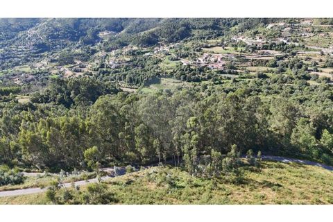 Helårsgrund i Guimaraes, Braga, Guimaraes - € 138.000 | Ref: 123331184-1 - foto 23