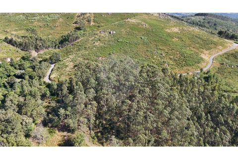 Helårsgrund i Guimaraes, Braga, Guimaraes - € 138.000 | Ref: 123331184-1 - foto 24