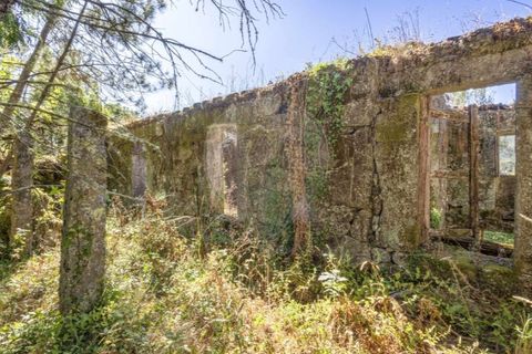 Helårsgrund i Guimaraes, Braga, Guimaraes - € 138.000 | Ref: 123331184-1 - foto 25