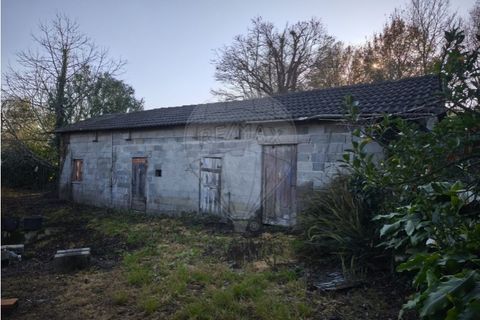Villa a Valenca, Viana do Castelo, Valenca - € 155.000 | Ref: 123331213-4 - foto 6