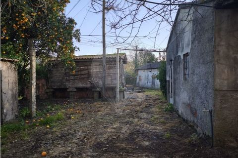 Villa a Valenca, Viana do Castelo, Valenca - € 155.000 | Ref: 123331213-4 - foto 16