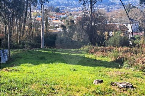 Terra a Ganfei, Viana do Castelo, Ganfei - € 49.500 | Ref: 123331212-62 - foto 3