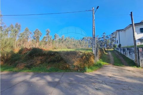 Terra a Ganfei, Viana do Castelo, Ganfei - € 49.500 | Ref: 123331212-62 - foto 10