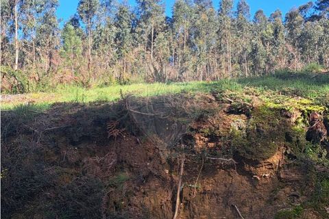 Terra a Ganfei, Viana do Castelo, Ganfei - € 49.500 | Ref: 123331212-62 - foto 11