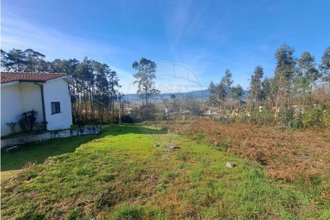 Terra a Ganfei, Viana do Castelo, Ganfei - € 49.500 | Ref: 123331212-62 - foto 14