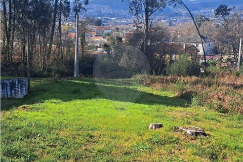 Terra a Ganfei, Viana do Castelo, Ganfei - € 49.500 | Ref: 123331212-62 - foto 19