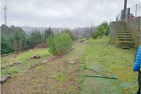 Terra a Roriz, Porto, Roriz - € 35.000 | Ref: 120761039-382 - foto 3