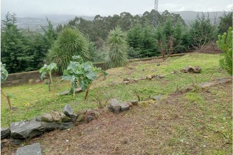 Terra a Roriz, Porto, Roriz - € 35.000 | Ref: 120761039-382 - foto 4